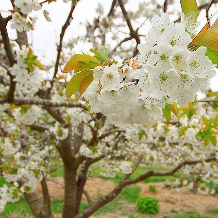 Elvenhome Farm ديلورايني المظهر الخارجي الصورة